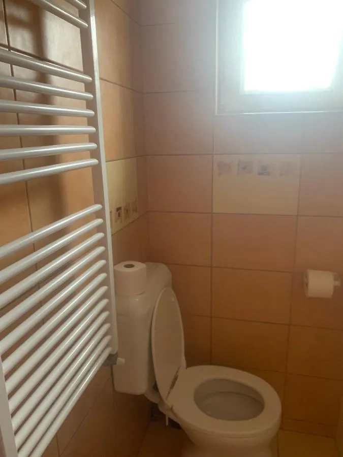 Gabor Aron Apartment Hajdúszoboszló 0*,